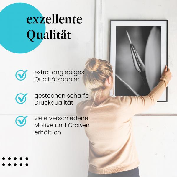 Gerahmtes Bild "Pflanzenabstraktion". Künstlerisches Design, Schwarz-Weiß-Foto.