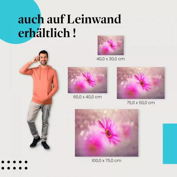 Zarte Schönheit: Pinke Blume | Postereck 1379 Zarte Schönheit: Pinke Blume | Postereck 1379