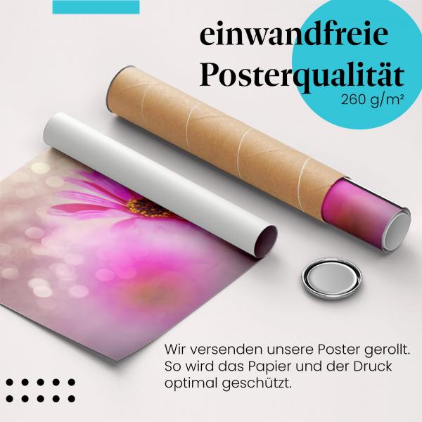 "Pinke Blume": Gerolltes Poster - Fokus, Schönheit.