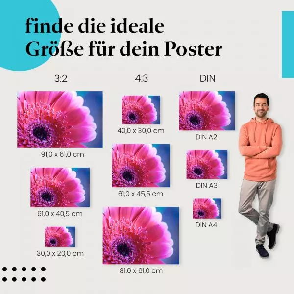 Pinke Gerbera | Postereck 2710 Pinke Gerbera | Postereck 2710