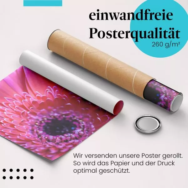 Pinke Gerbera | Postereck 2710 Pinke Gerbera | Postereck 2710