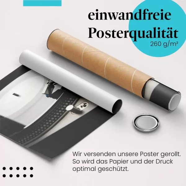  Vinyl-Sound: Plattenspieler Nahaufnahme | Postereck 0425