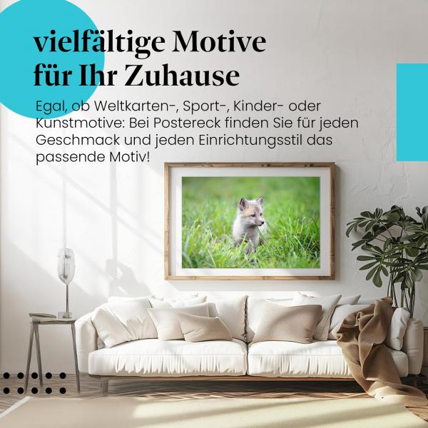 Leinwandbild "Polarfuchs": Welpe, graues Fell - niedlich & verspielt.