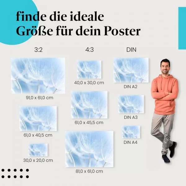 Zarte Pusteblume: Blaues Licht | Postereck 1420 Zarte Pusteblume: Blaues Licht | Postereck 1420