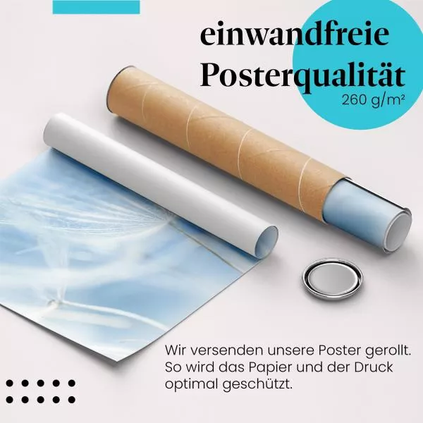 Zarte Pusteblume: Blaues Licht | Postereck 1420 Zarte Pusteblume: Blaues Licht | Postereck 1420