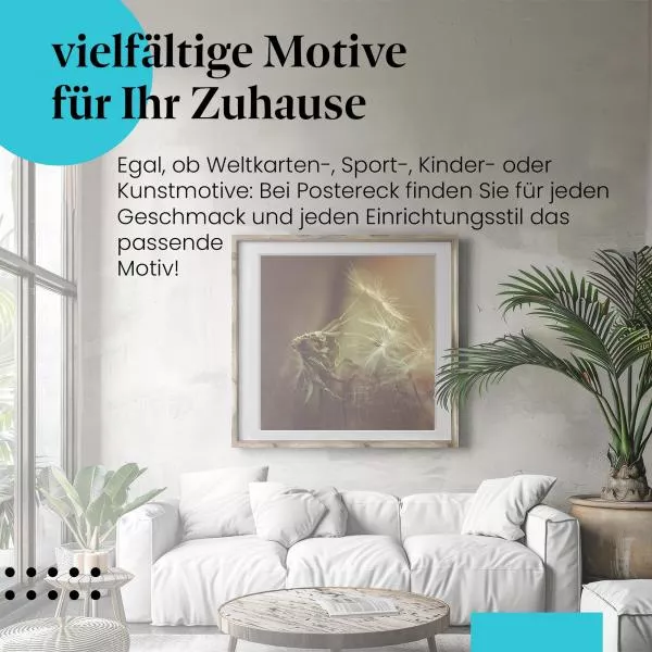 Verblühte Pusteblume | Postereck 2889 Verblühte Pusteblume | Postereck 2889