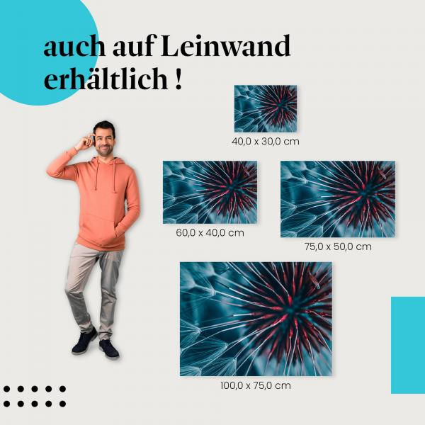 Pusteblume Makroaufnahme: Leinwandbild. Wähle deine Größe & hol dir das Design nach Hause!
