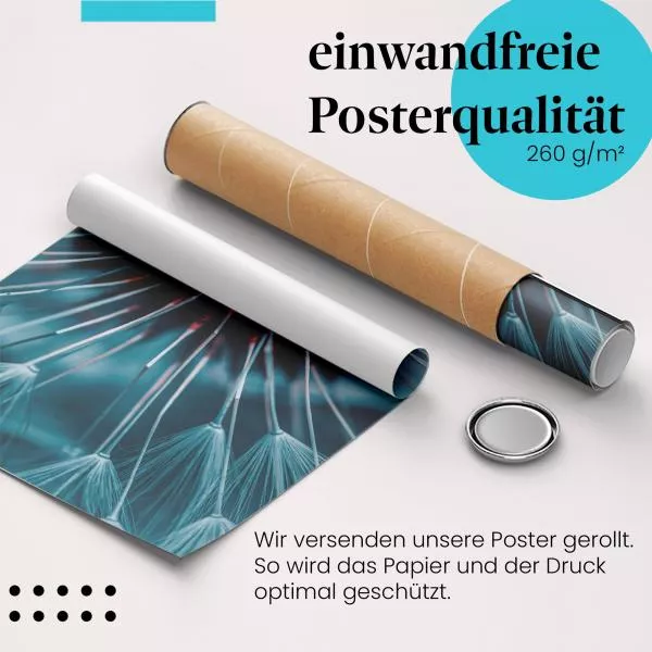 Abstrakte Pusteblume | Postereck 2525 Abstrakte Pusteblume | Postereck 2525