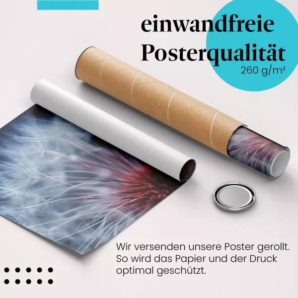 Rote Pusteblume | Postereck 2822 Rote Pusteblume | Postereck 2822