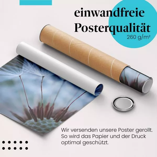 Pusteblumen-Makro | Postereck 2898 Pusteblumen-Makro | Postereck 2898