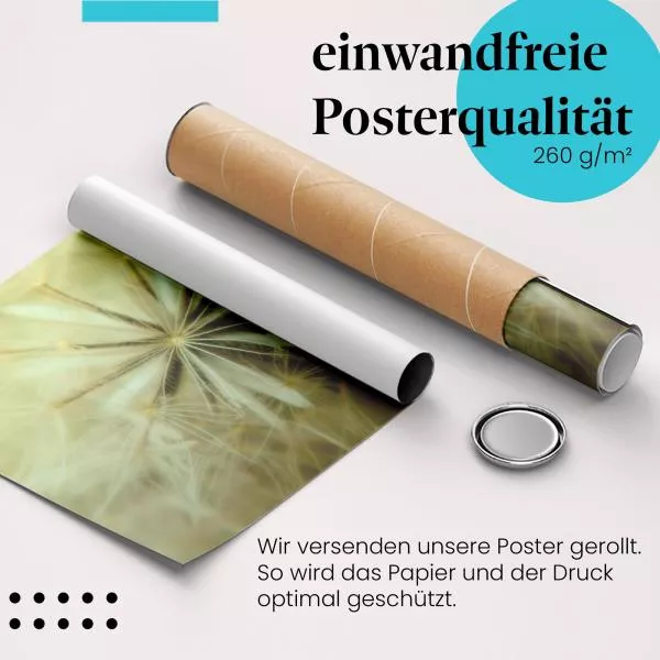 Zarte Schönheit: Pusteblume | Postereck 1260 Zarte Schönheit: Pusteblume | Postereck 1260