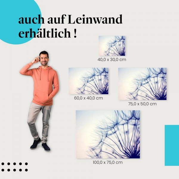 Leinwandbild "Zarte Pusteblume im Sonnenuntergang": Die Schönheit des Augenblicks