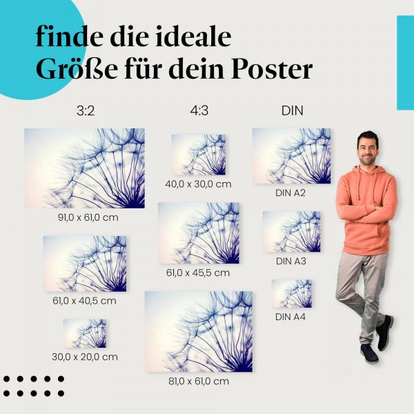 "Zarte Pusteblume im Sonnenuntergang": Poster mit Makroaufnahme