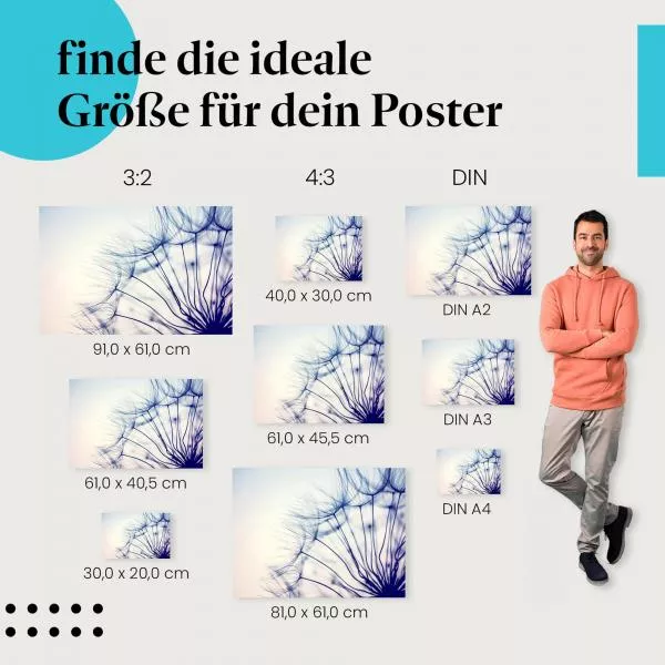 Zarte Pusteblume: Sonnenuntergang | Postereck 1351 Zarte Pusteblume: Sonnenuntergang | Postereck 1351