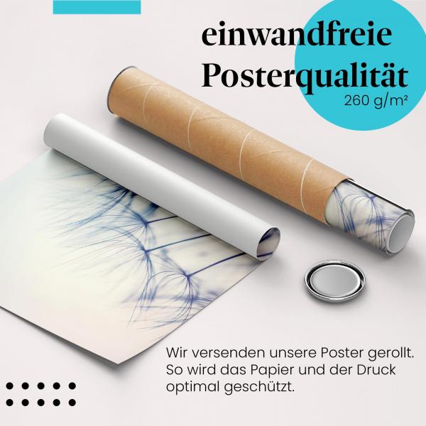 "Pusteblume": Gerolltes Poster, Sonnenuntergang.