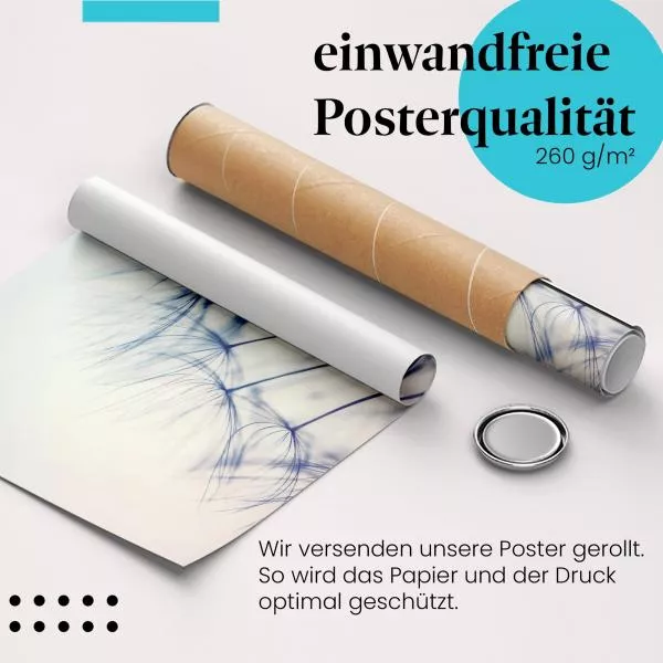 Zarte Pusteblume: Sonnenuntergang | Postereck 1351 Zarte Pusteblume: Sonnenuntergang | Postereck 1351