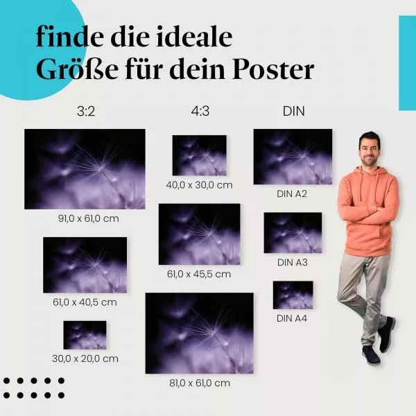 Lila Pusteblume | Postereck 2821 Lila Pusteblume | Postereck 2821