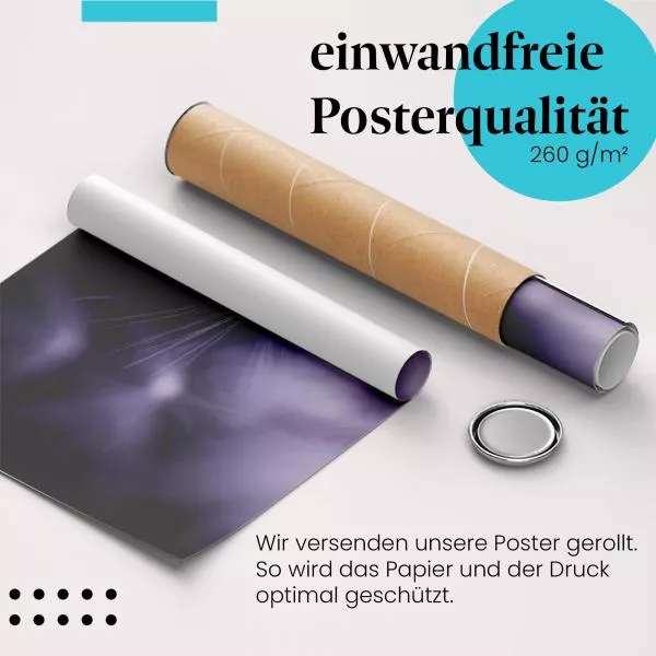 Lila Pusteblume | Postereck 2821 Lila Pusteblume | Postereck 2821