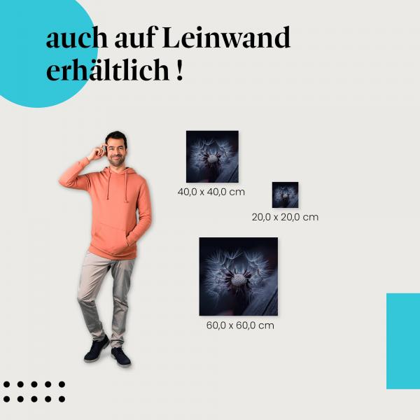 Pusteblume: Leinwandbild. Zwielicht, Samen, Vergänglichkeit.