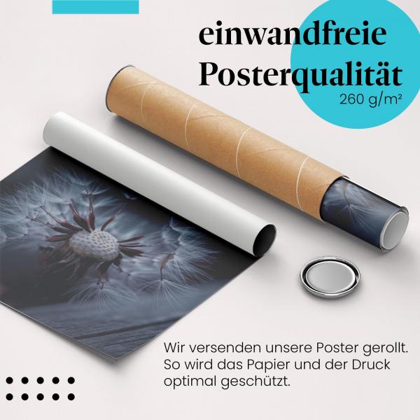 Gerolltes Poster "Pusteblume". Vergänglichkeit & Wandel, sicher verpackt.