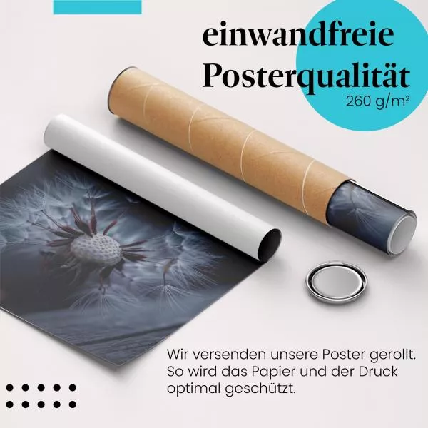 Mystische Pusteblume | Postereck 2897