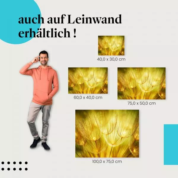 Goldener Zauber der Pusteblumen | Postereck 1078 Goldener Zauber der Pusteblumen | Postereck 1078