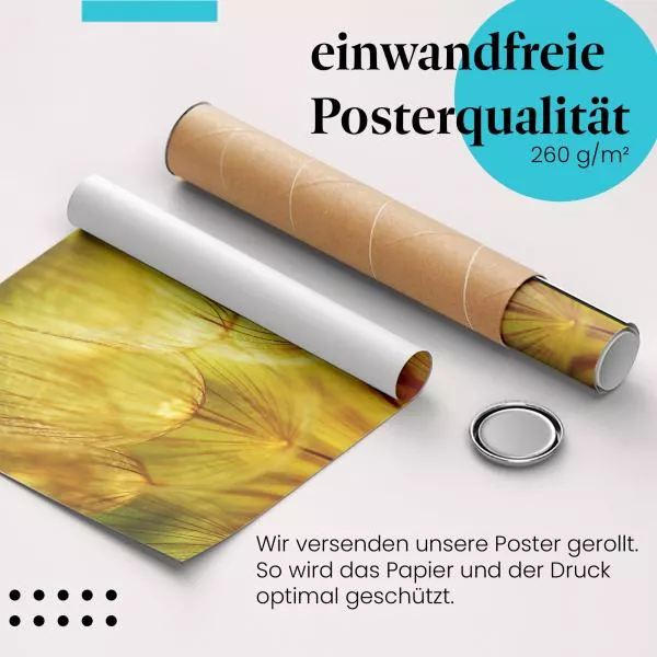 Goldener Zauber der Pusteblumen | Postereck 1078 Goldener Zauber der Pusteblumen | Postereck 1078