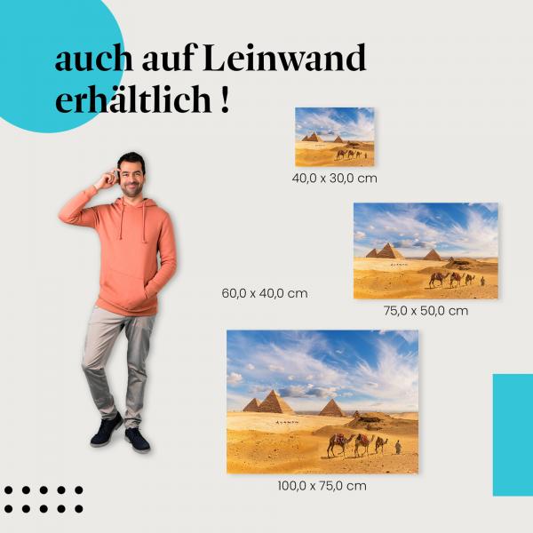 Pyramiden von Gizeh: Leinwandbild. Kamele, Wüste.