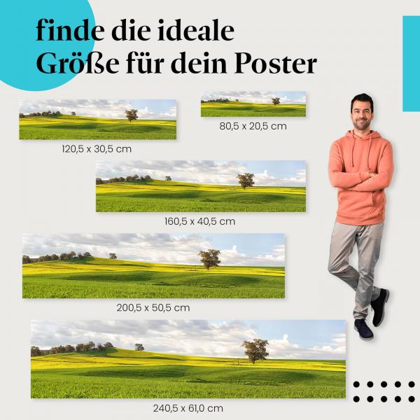 Entdecke die passende Größe: Rapsfeld, gelb, Landschaft, Frühling.