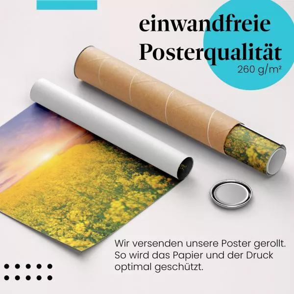 Blütenmeer im Sonnenuntergang: Rapsfeld…| Postereck 1077 Blütenmeer im Sonnenuntergang: Rapsfeld…| Postereck 1077