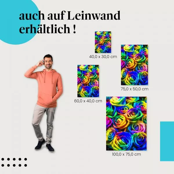 Regenbogenrosen | Postereck 2394 Regenbogenrosen | Postereck 2394