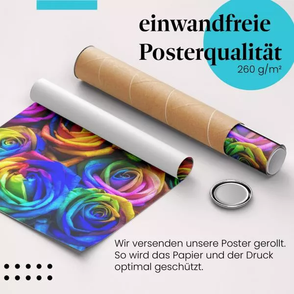Regenbogenrosen | Postereck 2394 Regenbogenrosen | Postereck 2394