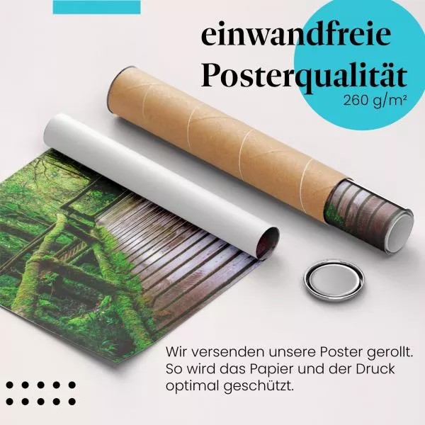 Regenwald: Moosbewachsener Steg | Postereck 1457 Regenwald: Moosbewachsener Steg | Postereck 1457