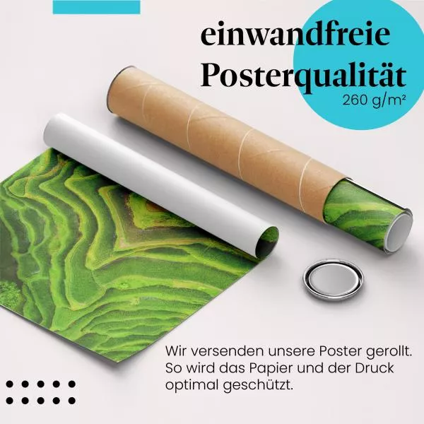 Reisterrassen | Postereck 3648 Reisterrassen | Postereck 3648