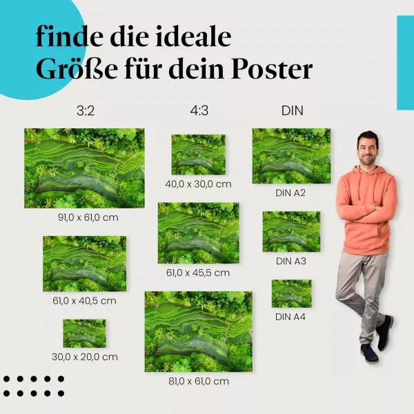 Reisterrassen | Postereck 3817 Reisterrassen | Postereck 3817