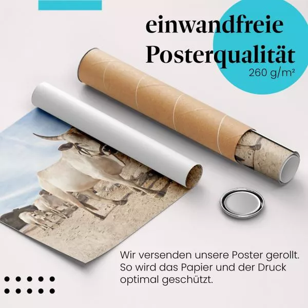 Rinder in Indien | Postereck 3240