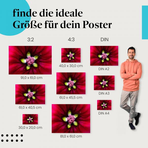 Faszination Natur: "Blütenpracht" - Poster mit detailreicher Makroaufnahme