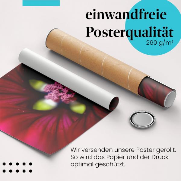 Gerolltes Poster "Blüte", Makroaufnahme, Pracht.