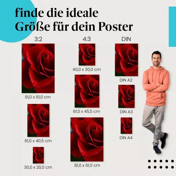 Rote Rose | Postereck 3416 Rote Rose | Postereck 3416