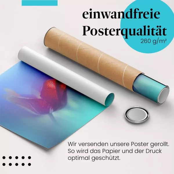 Rote Tulpe | Postereck 3803 Rote Tulpe | Postereck 3803