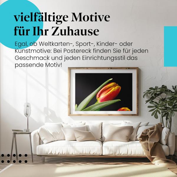 Leinwandbild "Rote Tulpe": Makroaufnahme, Wassertropfen - frische Farben & Details.