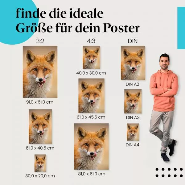 Roter Fuchs | Postereck 3483 Roter Fuchs | Postereck 3483