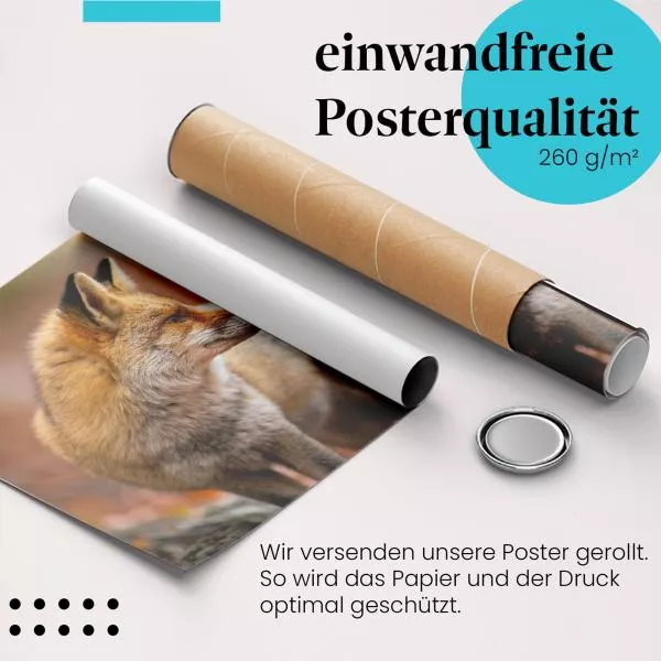 Fuchs im Herbstlaub | Postereck 4114 Fuchs im Herbstlaub | Postereck 4114