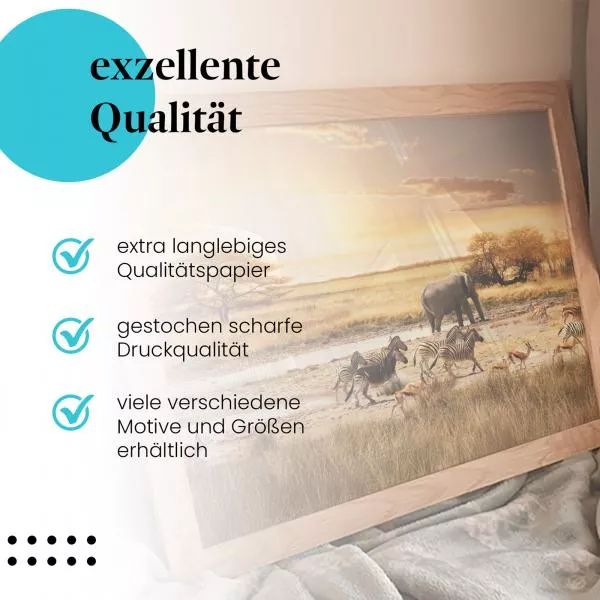 Afrikanische Savanne: Tiere… | Postereck 1247 Afrikanische Savanne: Tiere… | Postereck 1247