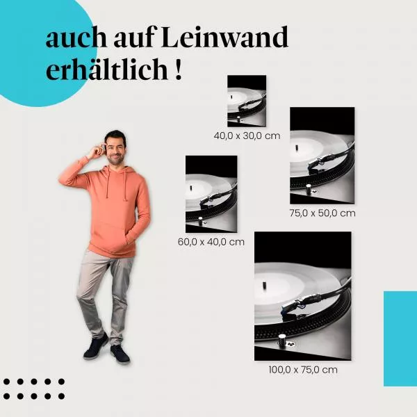 Vinyl-Sound: Plattenspieler & Nadel | Postereck 0795 Vinyl-Sound: Plattenspieler & Nadel | Postereck 0795