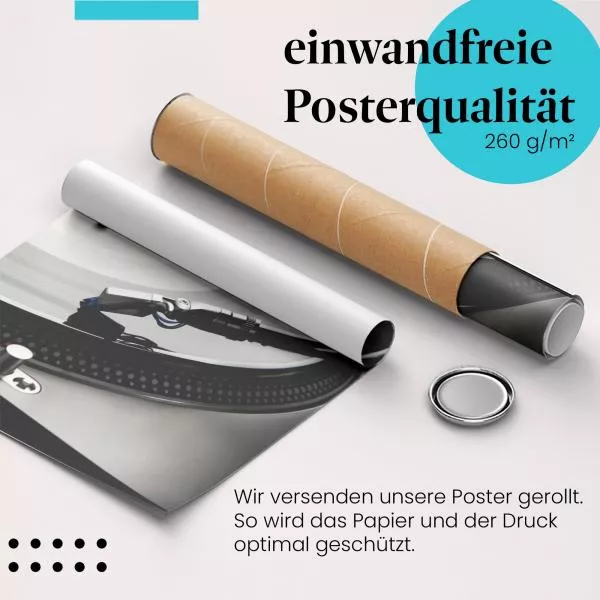 Vinyl-Sound: Plattenspieler & Nadel | Postereck 0795 Vinyl-Sound: Plattenspieler & Nadel | Postereck 0795