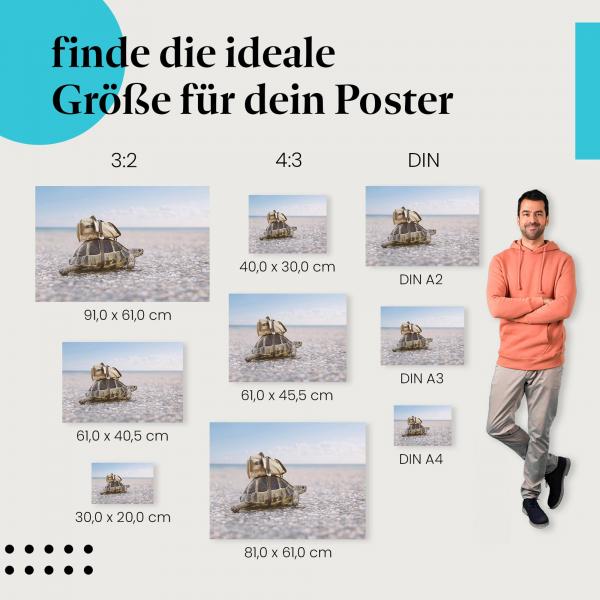 Schildkröte, Poster: Strand, Rucksack.