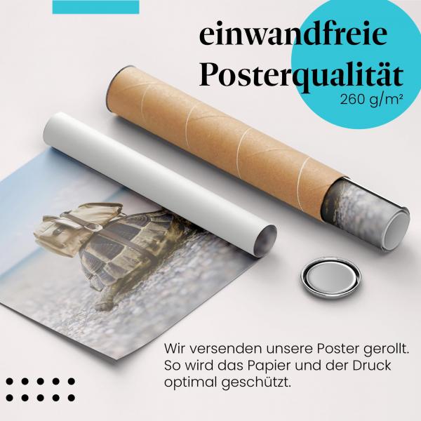 Gerolltes Poster "Schildkröte". Tier & Reise, sicher verpackt.