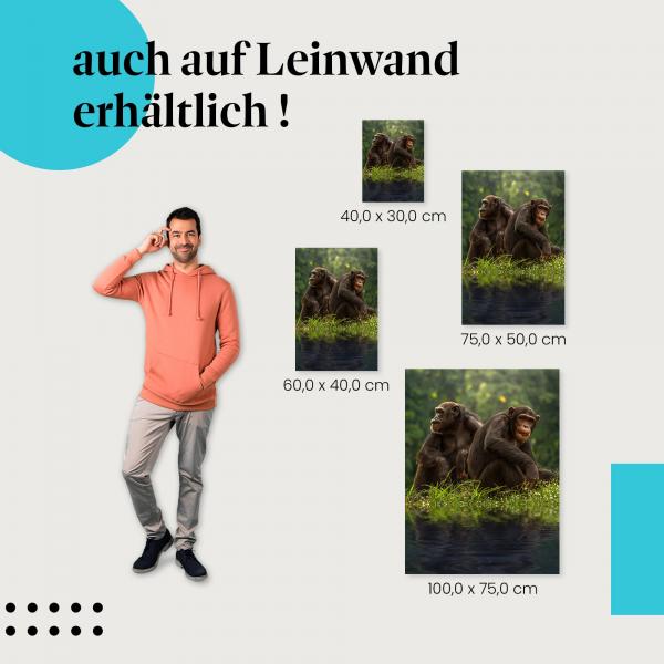 Leinwandbild "Schimpansen am Wasser": Die perfekte Dekoration für Naturliebhaber in verschiedenen Grössen!
