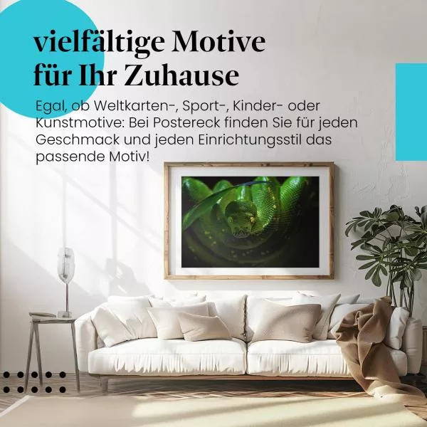 Grüne Schlange | Postereck 2798